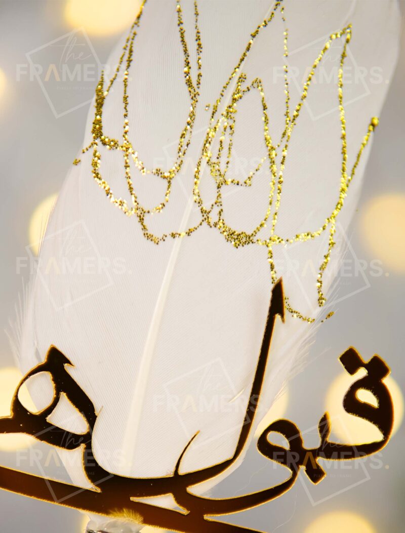 Luxury Silver Matalic Nikkah Pen with white feather - Imported