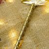 Qabool Hai Nikkah Pen Gold Glitter Lace & Feather