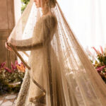 Ethereal Pearl Nikkah Veil Dupatta (Beige/Gold Sheer Net)