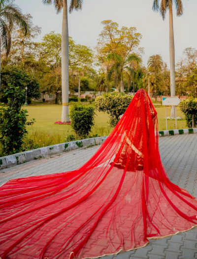 Regal Red Bridal Nikkah Veil